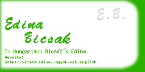 edina bicsak business card